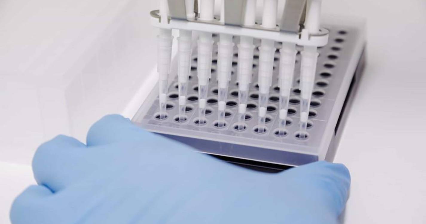 Mpox: 238 casos detetados em Portugal desde junho