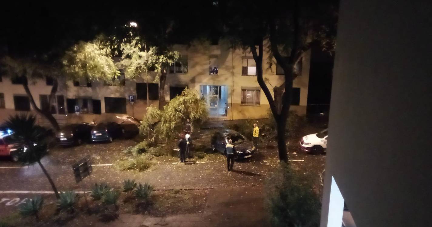 Árvore cai em cima de carro na Nazaré