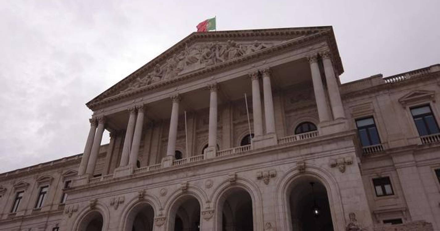 Parlamento recomenda urgência na proteção animal em situações de catástrofe