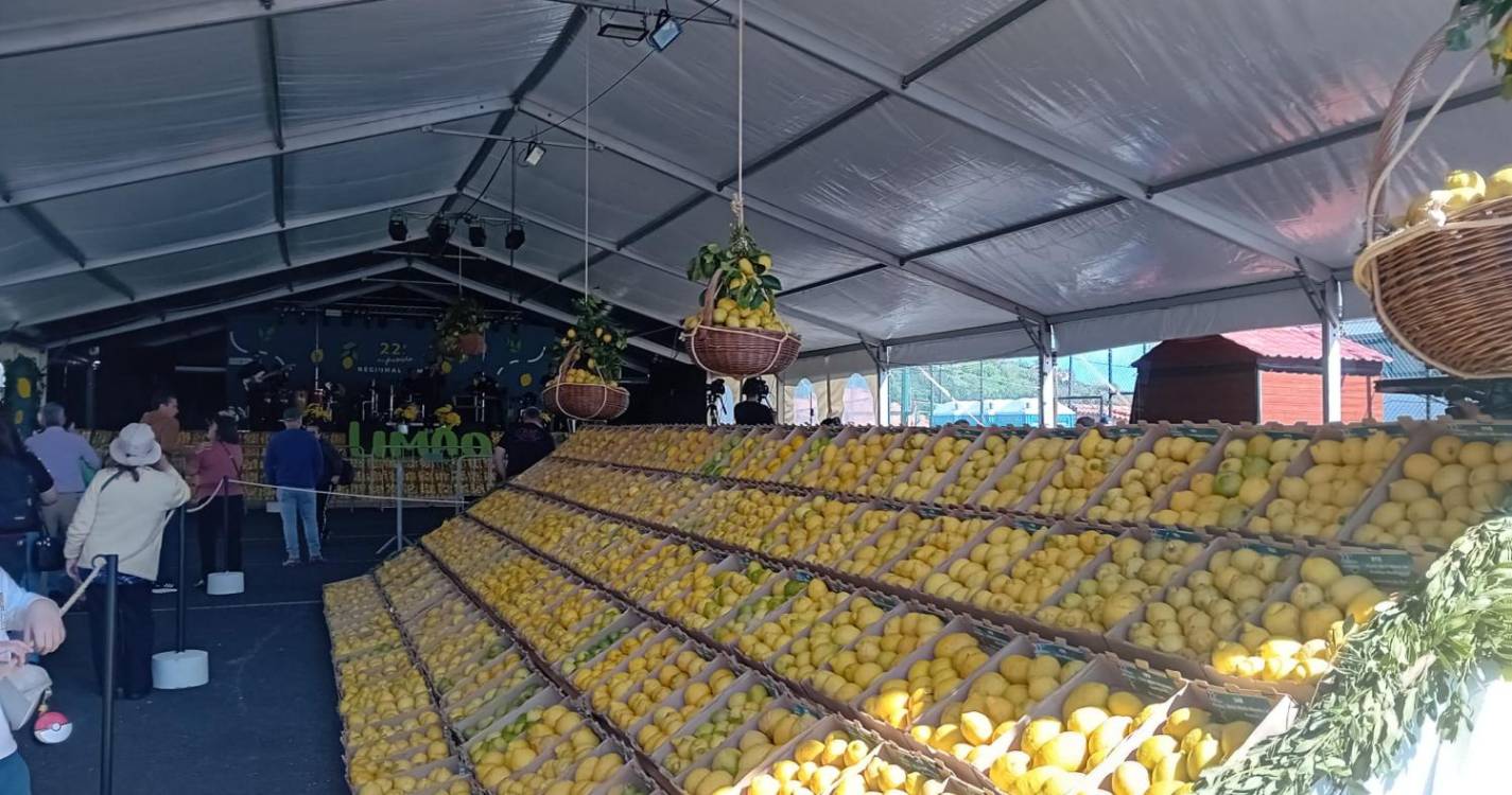 Exposição Regional do Limão atrai centenas à freguesia da Ilha