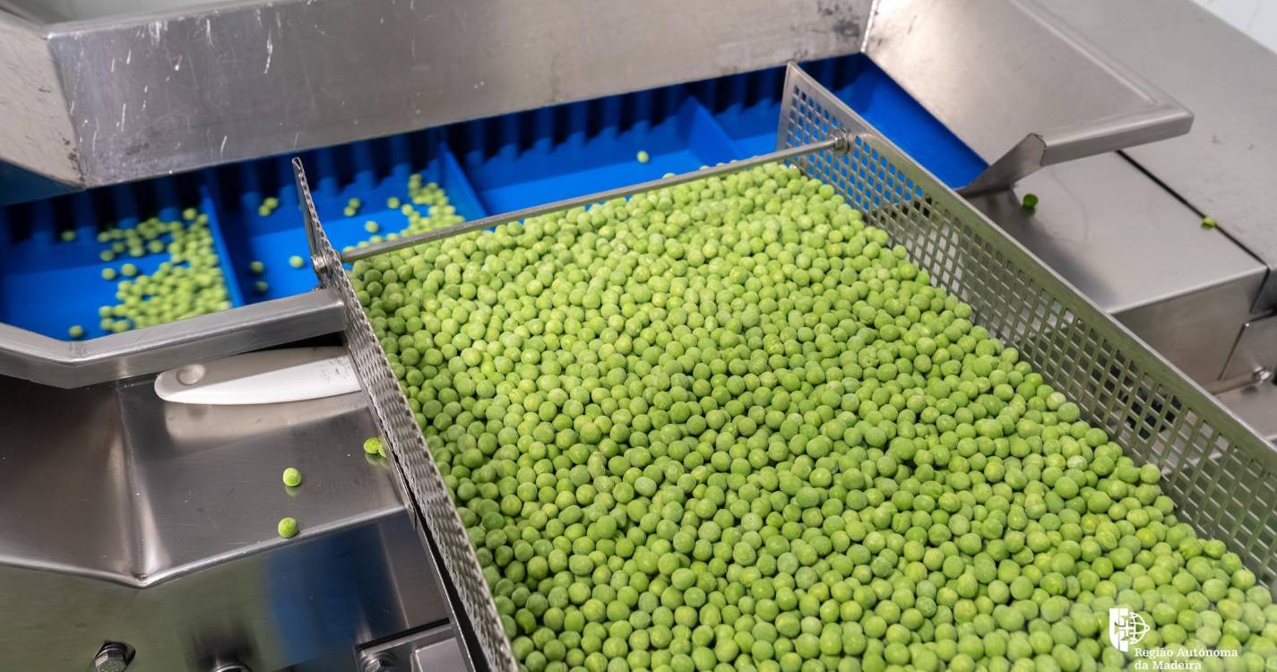 Empresa ‘Nóbrega’ opera há 62 anos no mercado regional