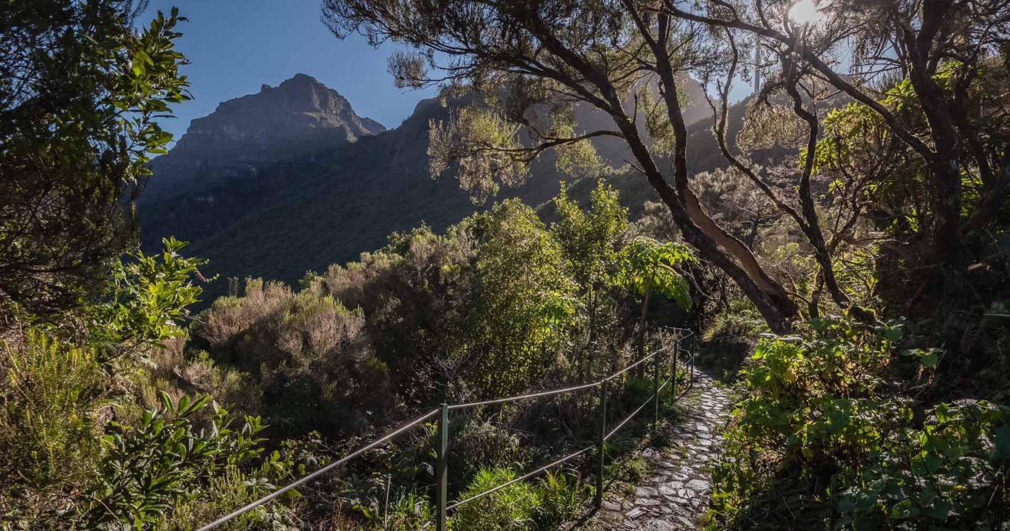 Quatro turistas resgatadas após se perderem na Levada do Norte
