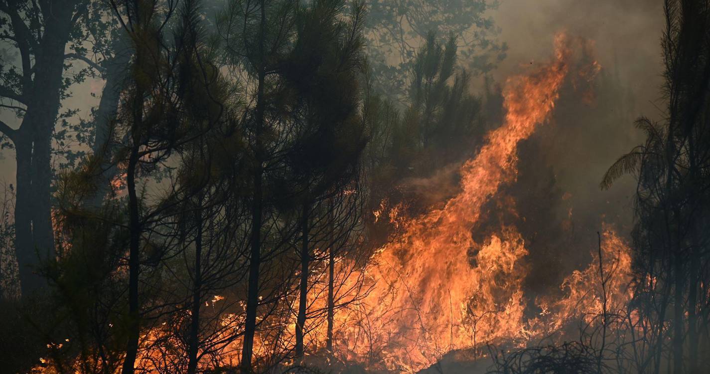 Incêndios: Mais de 2.900 operacionais combatiam esta madrugada os cinco maiores fogos