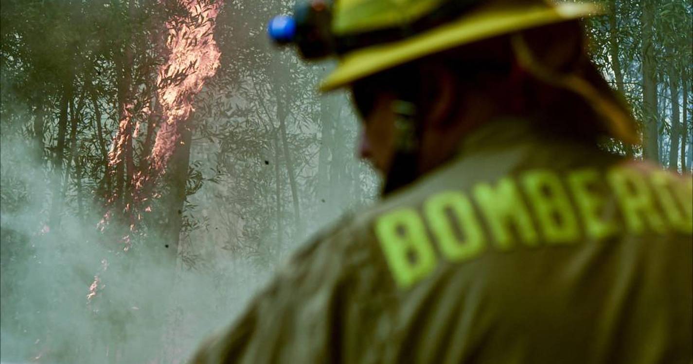 Área queimada no Chile por fogos florestais na última temporada aumentou 156%