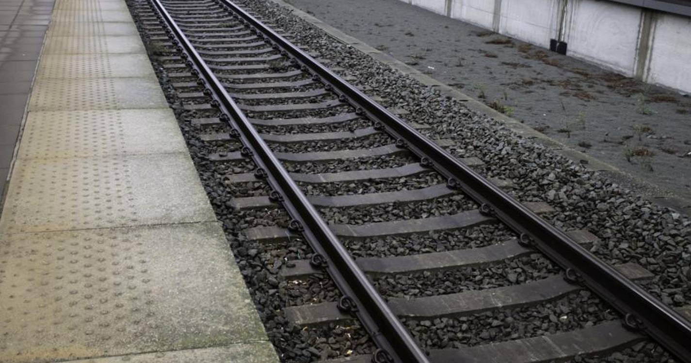 Bruxelas espera ligação de alta velocidade em Portugal “o mais rápido possível”