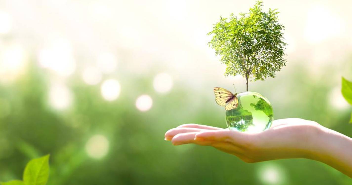 Dia da Terra assinala-se hoje para defender preservação dos recursos naturais