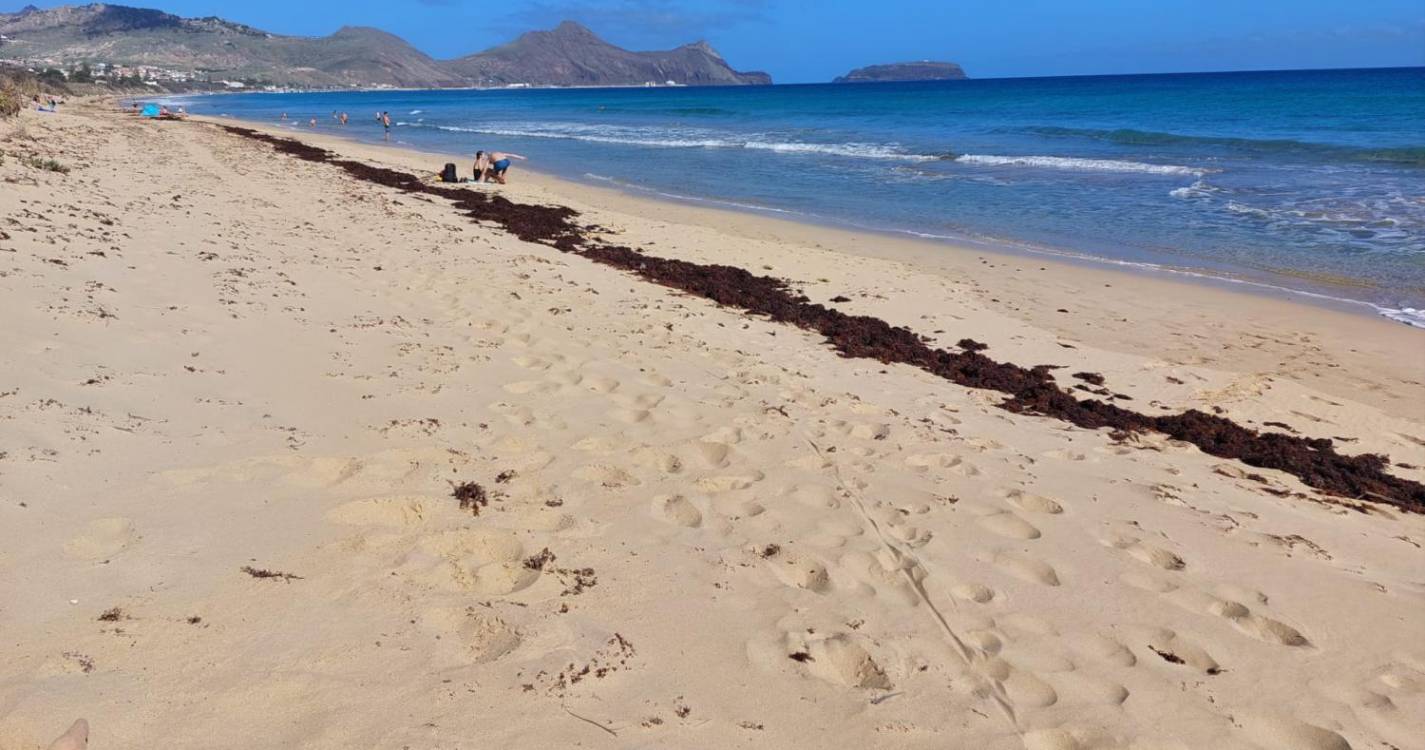 Banhistas queixam-se das condições da praia no Porto Santo