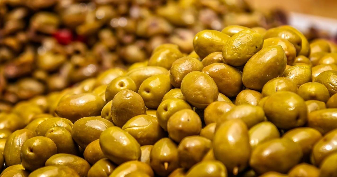 GNR apreende cerca de 10 toneladas de azeitona no concelho de Aljustrel