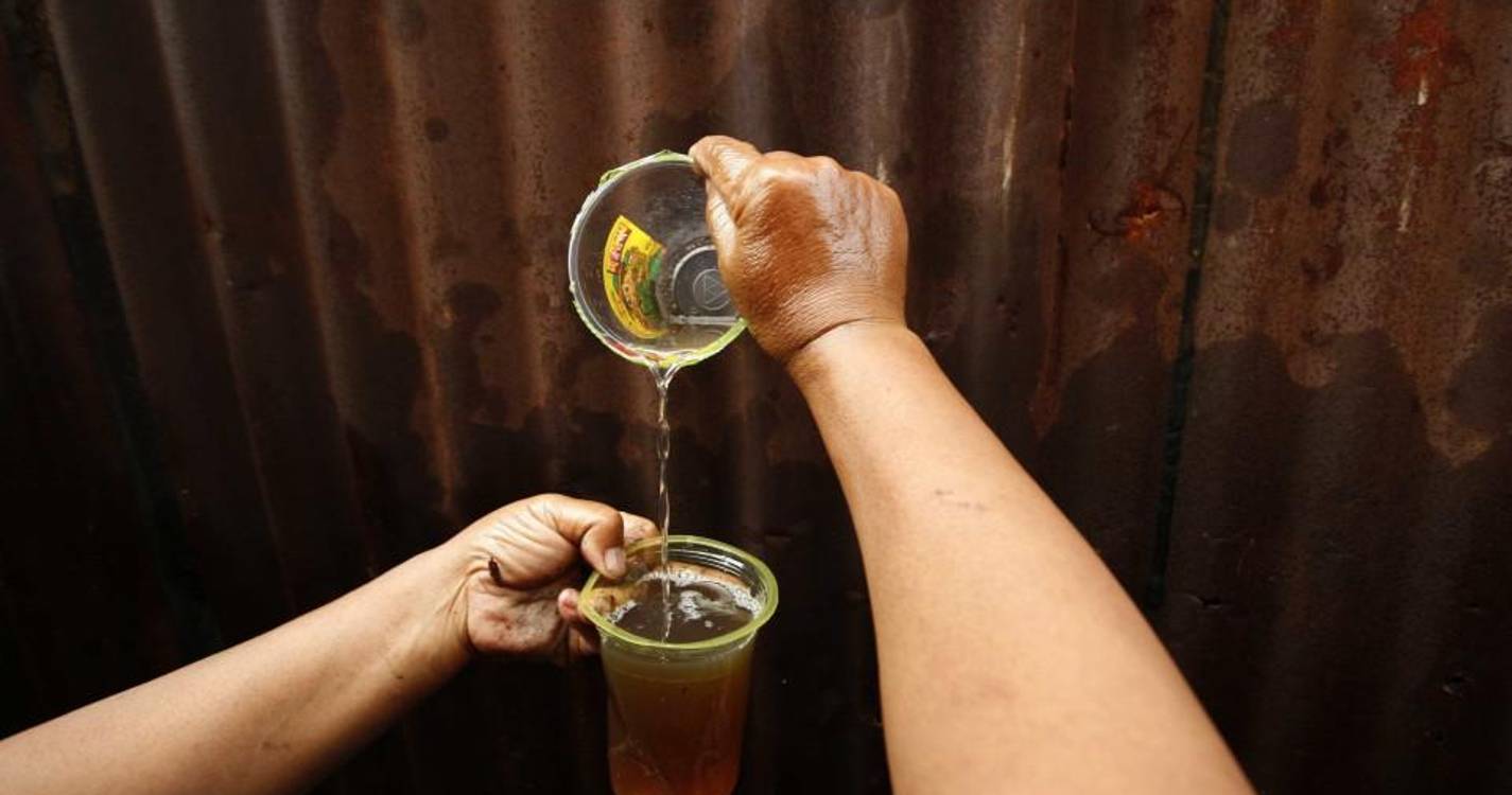 OE2024: Óleo alimentar e alheiras com taxa intermédia do IVA