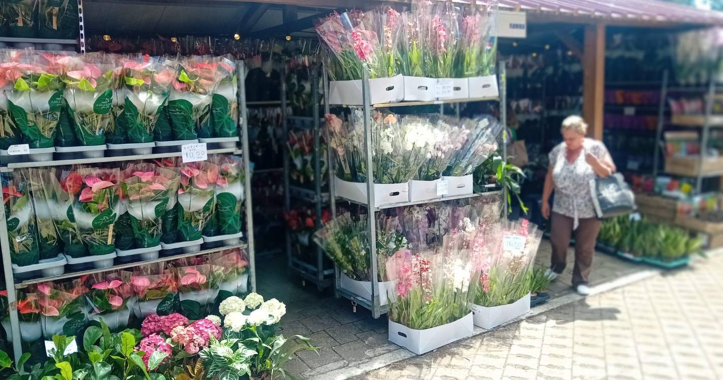 Feira Agropecuária já começou no Porto Moniz (fotos)