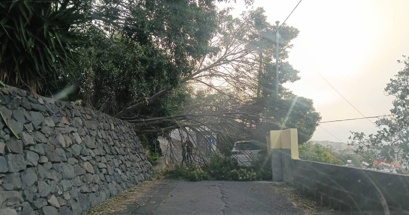 Vento forte provocou pelo menos 32 ocorrências na Madeira