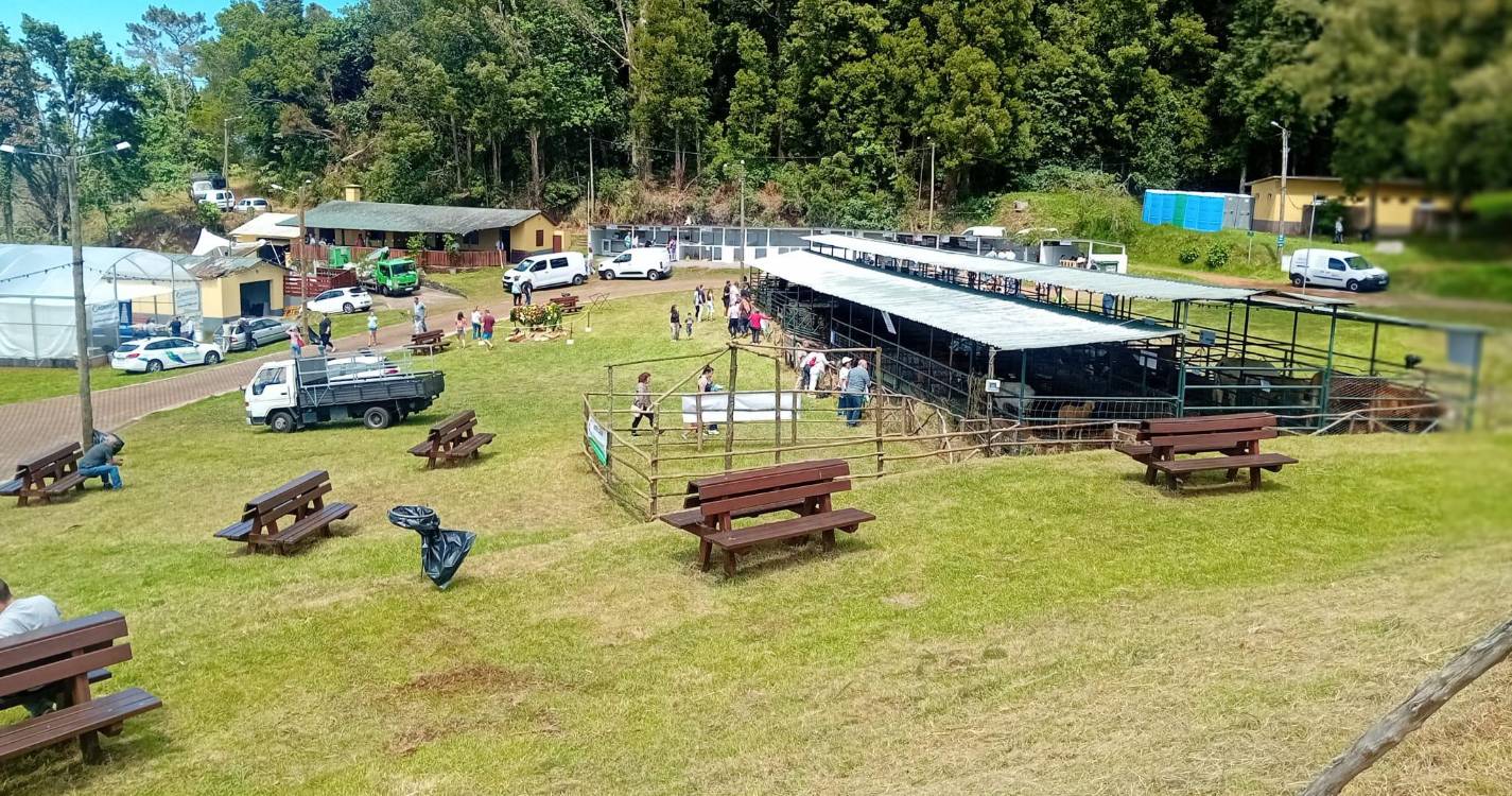 Feira Agropecuária já começou no Porto Moniz (fotos)
