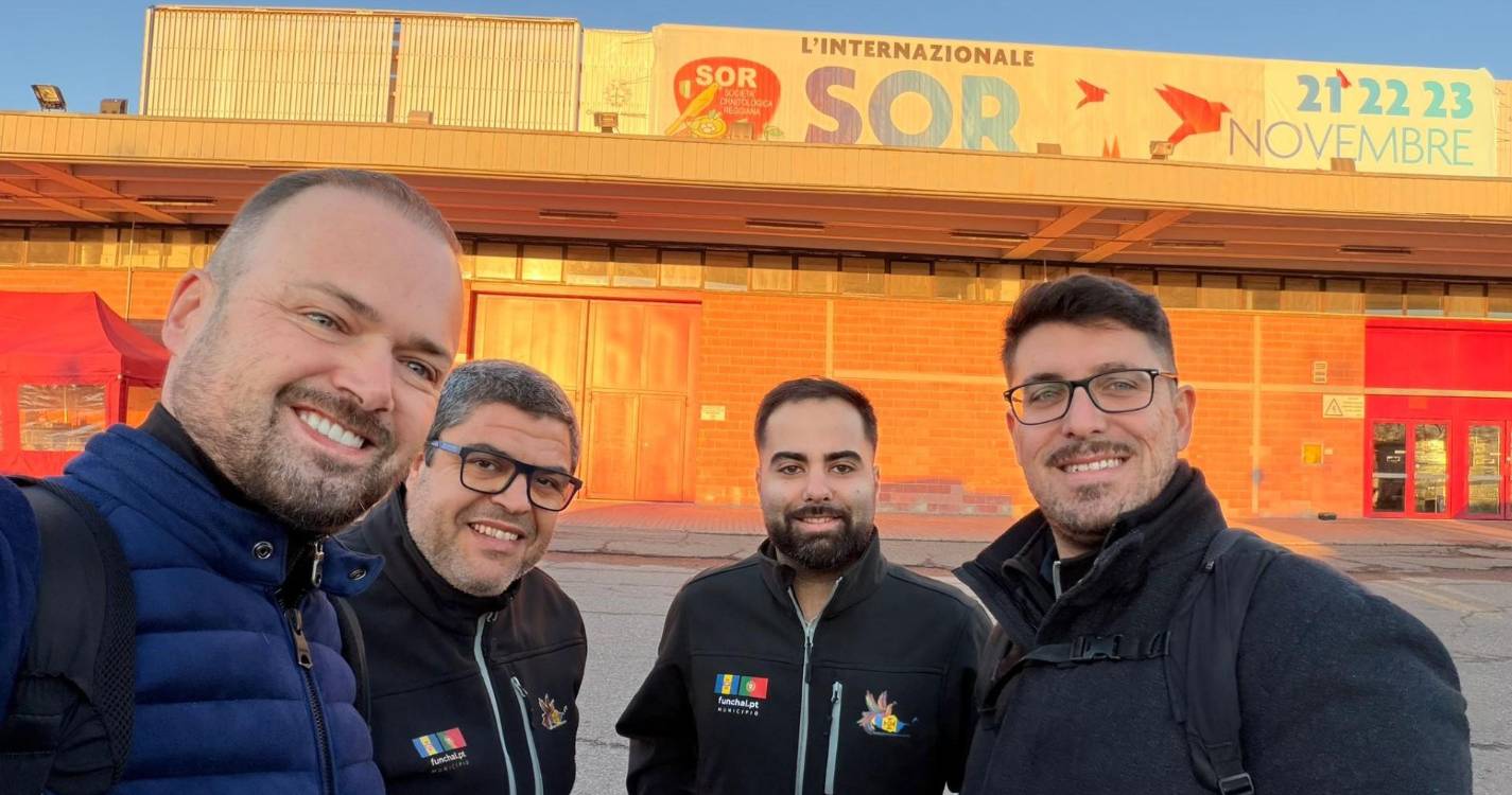 AOM destaca-se no maior palco internacional da ornitologia com medalhas na SOR 2025