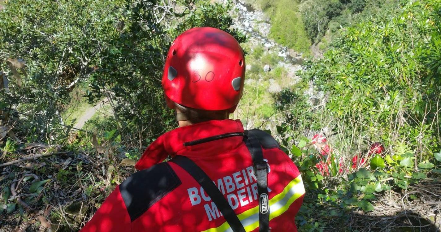 Três corporações combatem incêndio no Lugar da Serra
