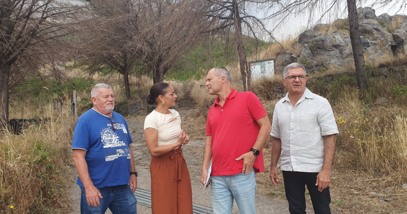“Cultivo de terrenos abandonados nunca foi uma prioridade em Câmara de Lobos”, acusa CDU
