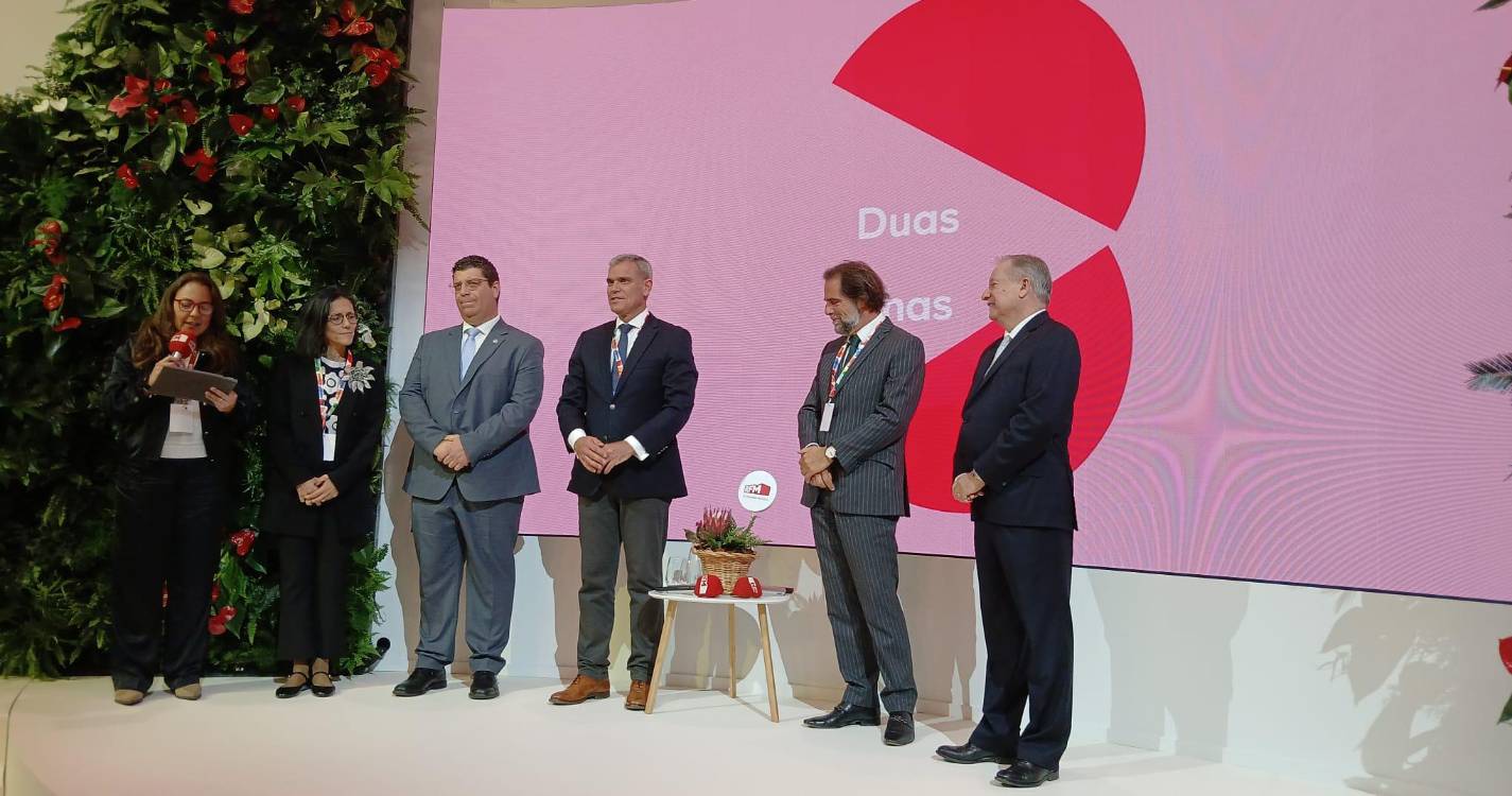 Albuquerque diz que “Montenegro não poderia continuar a ser cozido em lume brando”