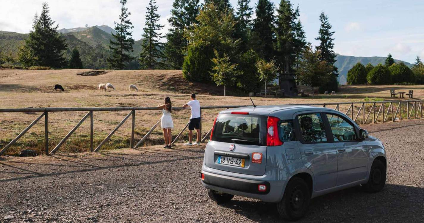 Aluguer de veículos na Madeira rende mais de 108 milhões de euros num ano