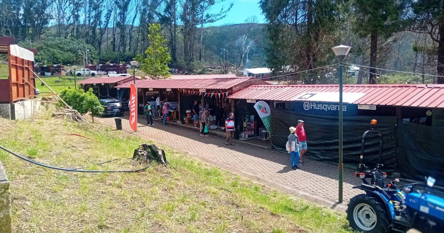 Feira Agropecuária já começou no Porto Moniz (fotos)