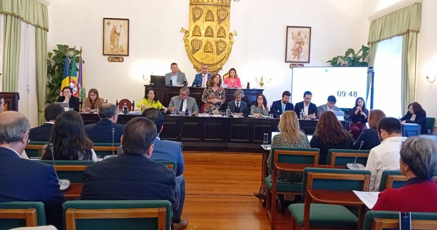 Autarquia tem notificado proprietários para a limpeza dos terrenos