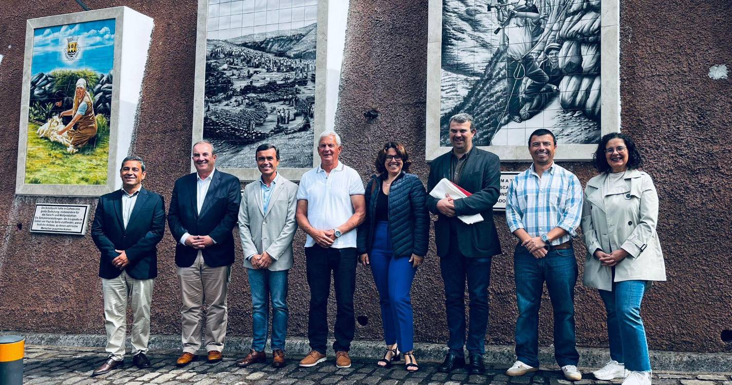 Nuno Maciel defende gado na serra, com regras