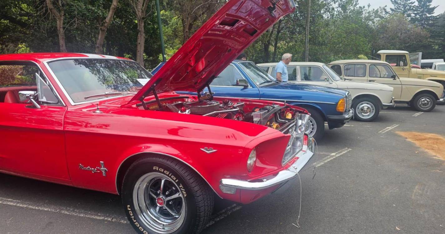 Carros Clássicos chamam a atenção no Faial (com fotos)