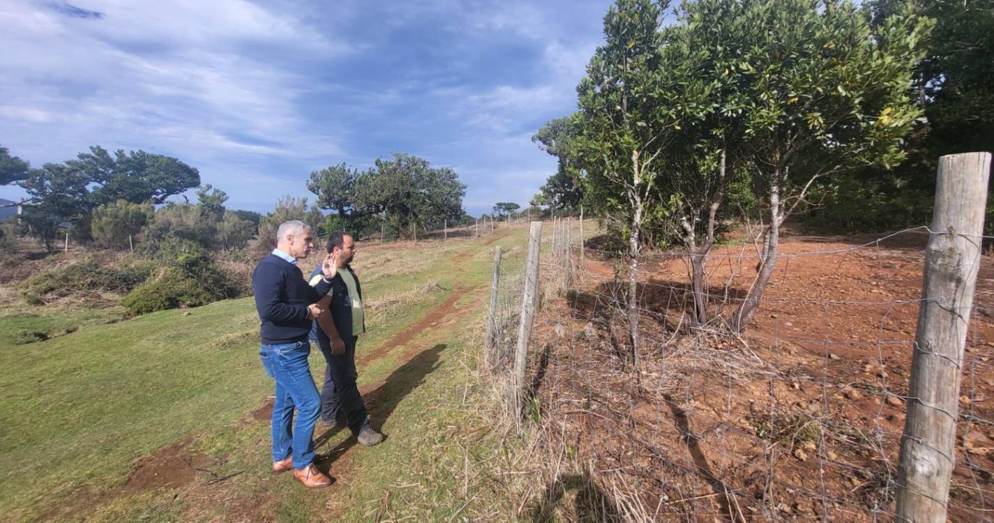 Instituto das Florestas recupera Tis no Fanal