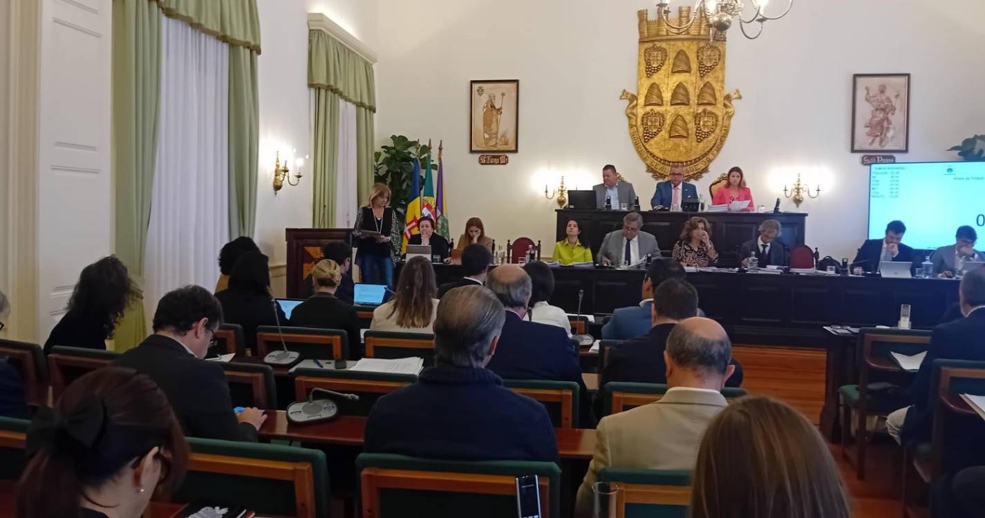 PS critica Facebook da Assembleia Municipal, Luís Nunes recusa criar “feira de vaidades”