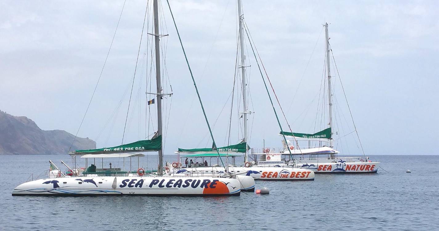 Do mar para as escolas: VMT Madeira ensina a proteger os oceanos