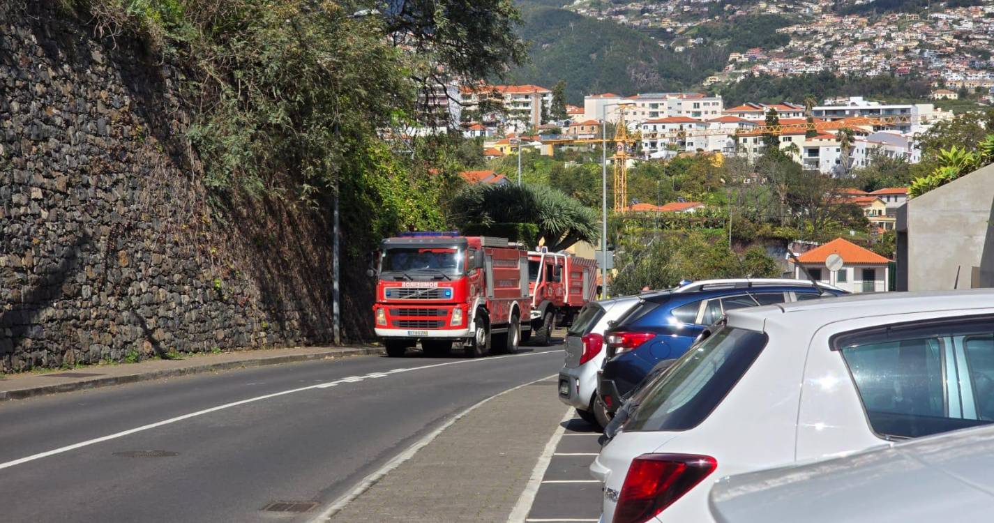 Fogo em mato leva Sapadores às Virtudes