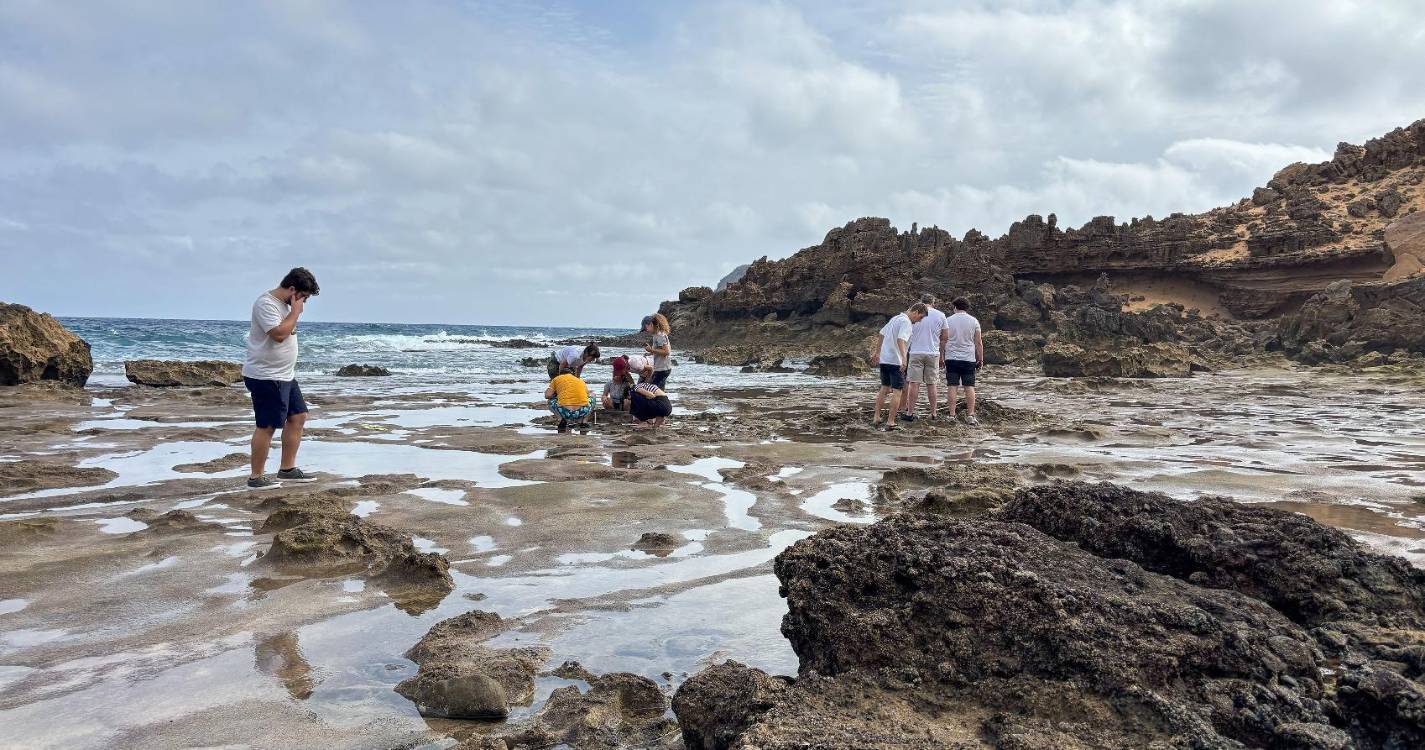 Projeto CLIMAREST termina após três anos com sessão de encerramento no Savoy Palace