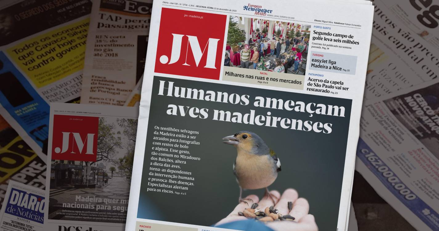 Humanos ameaçam aves madeirenses