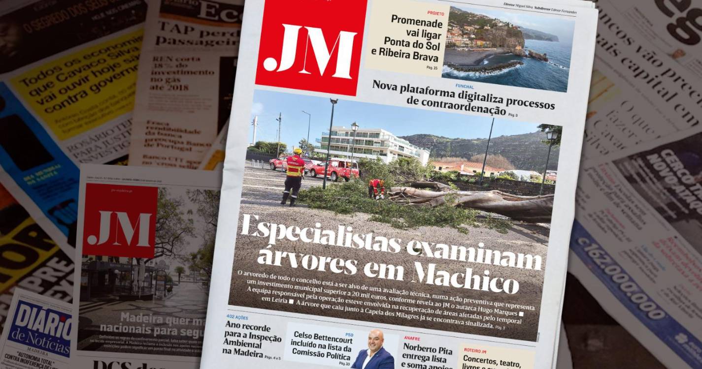 Especialistas examinam árvores em Machico