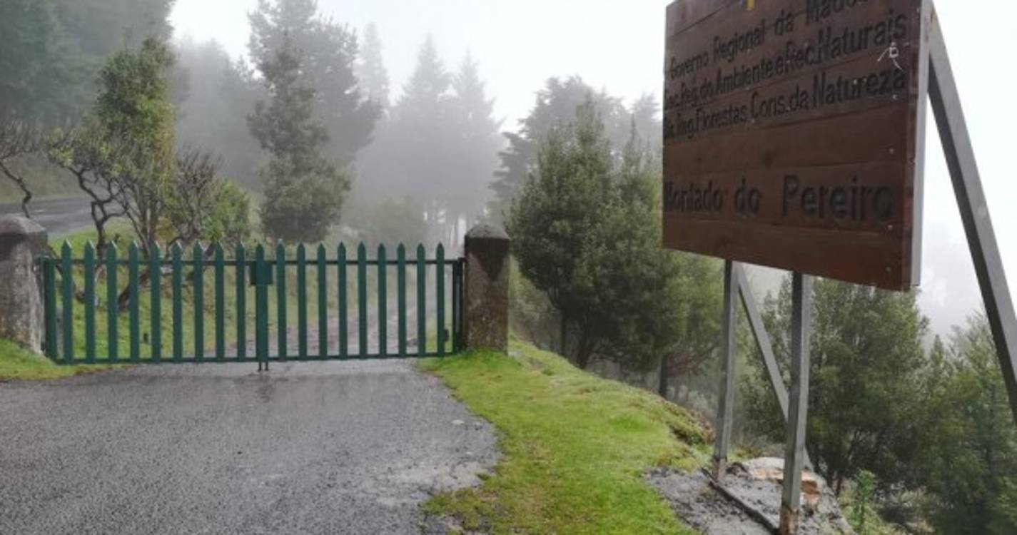 Chuva afugentou madeirenses das serras neste 1.º de Maio (com fotos)