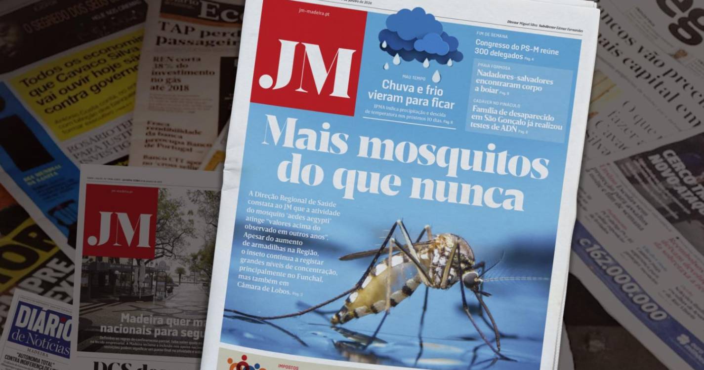 Mais mosquitos do que nunca