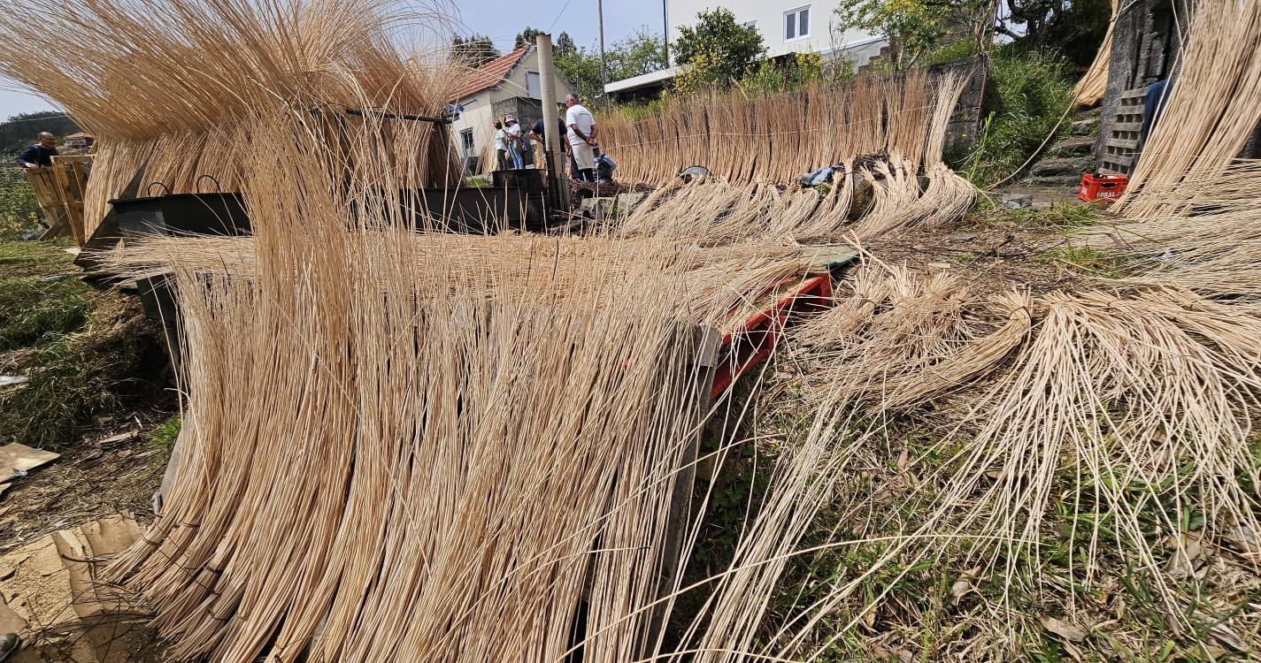 Clube Barbusano percorre levada e visita ‘obra de vimes’