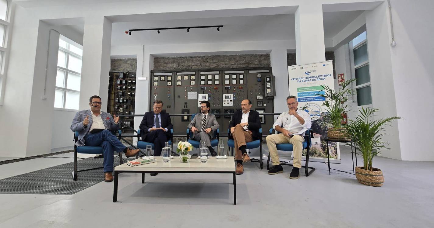 Assista em direto ao fórum sobre sustentabilidade no setor elétrico da RAM