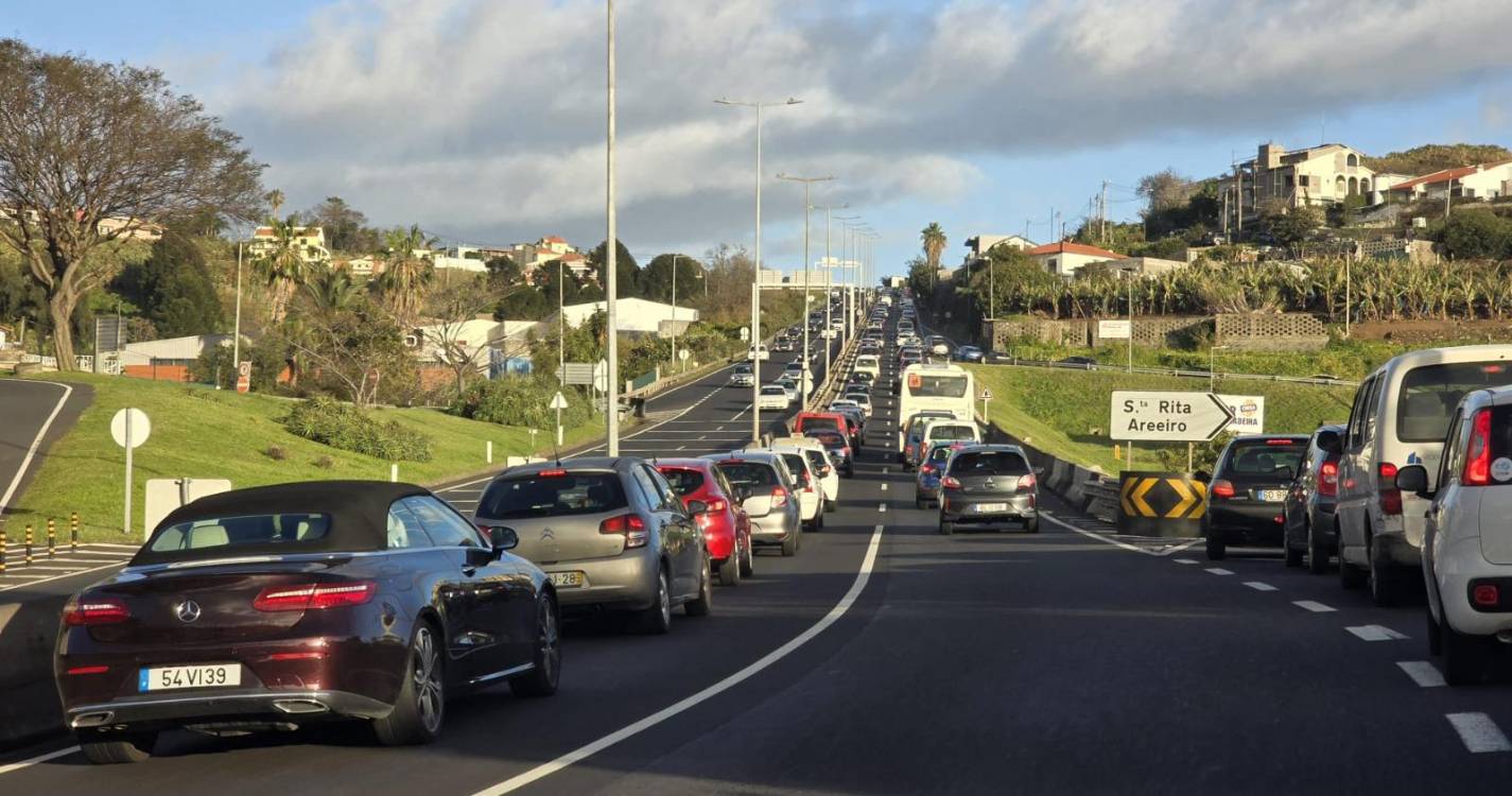 Acidente na VR1 provoca forte congestionamento entre São Martinho e Boa Nova