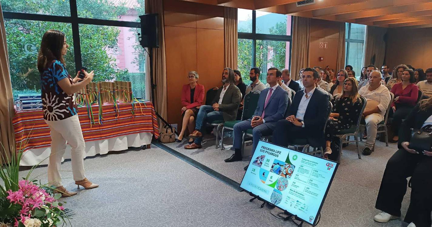 Continente comprou mais de mil toneladas de frescos