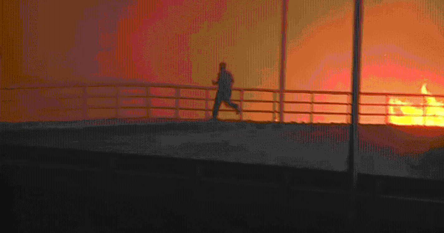 Incêndios: Escolas encerradas, casas a arder e autoestradas cortadas em Albergaria-a-Velha