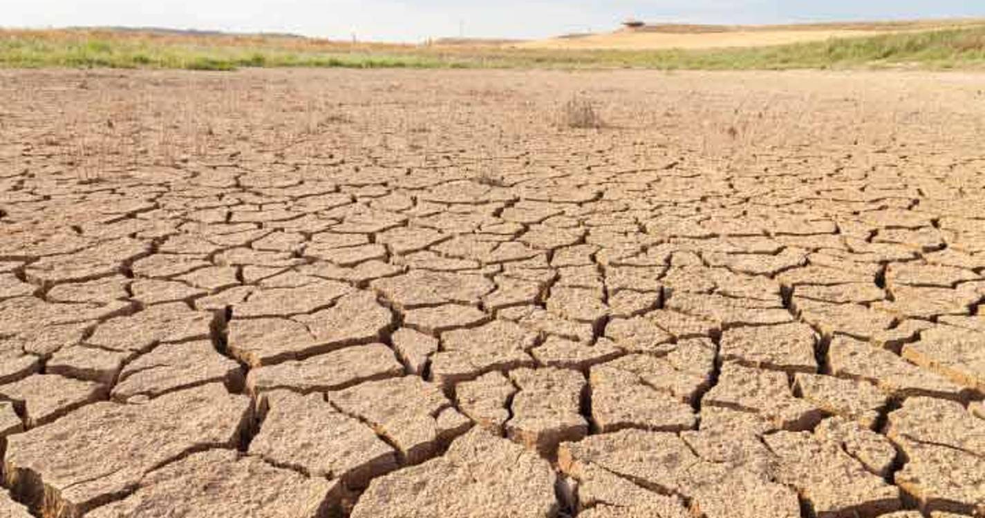 Seca: Efeito devastador pode ditar subida de preços e medidas do Governo são injustas