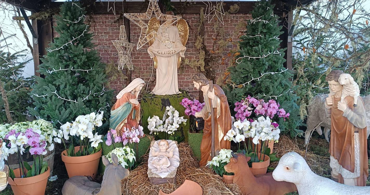 ‘A Festa’ começa hoje em Câmara de Lobos (com fotos)