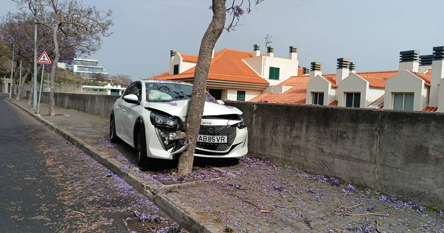 Viatura bate em árvore na Ajuda