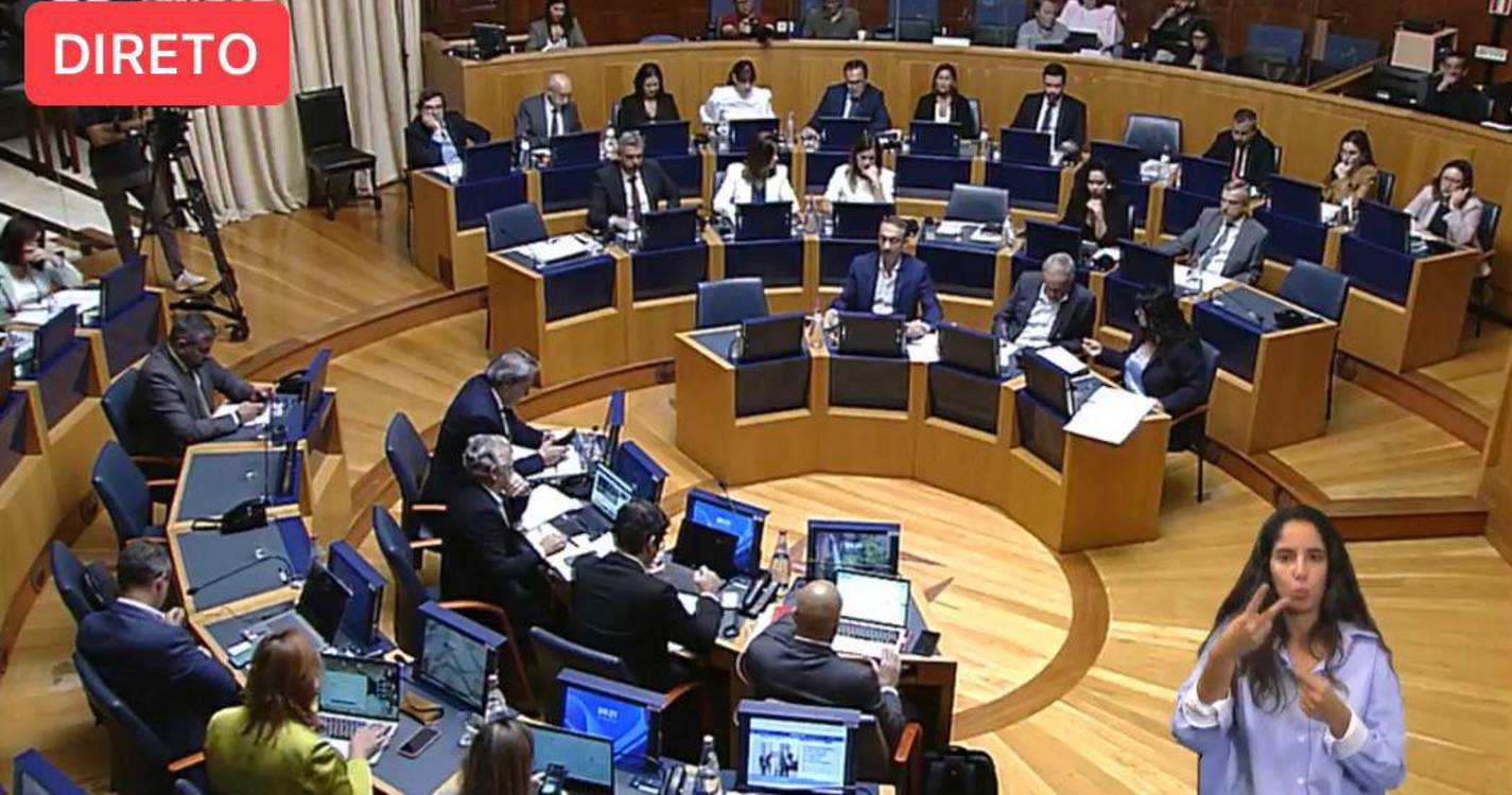 450 mil euros para associações de proteção animal