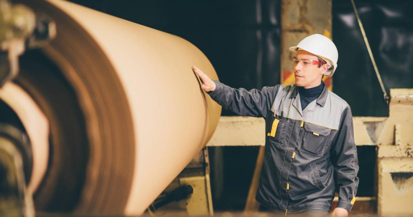 Exportações de pasta, papel e cartão atingiram 3.101 ME em 2023 - associação