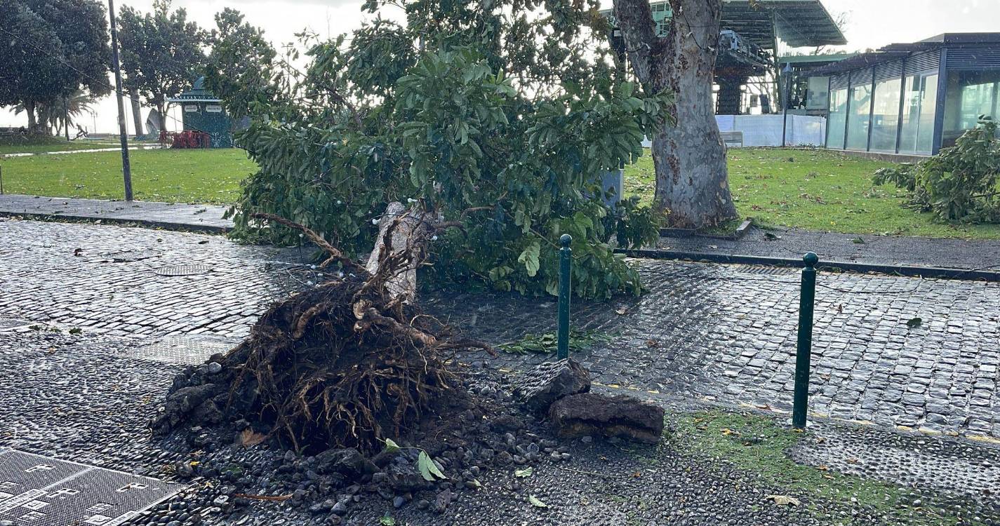 Depressão Emília provocou 353 ocorrências na Madeira