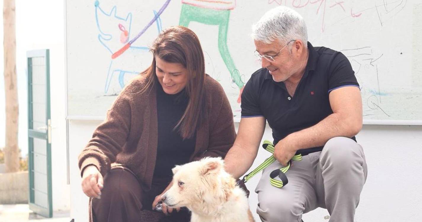 JPP foi o primeiro “a consagrar nos seus quadros de pessoal o médico veterinário”.