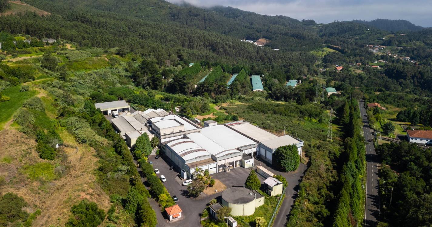 Sindicato justifica greve no Centro de Abate da Madeira