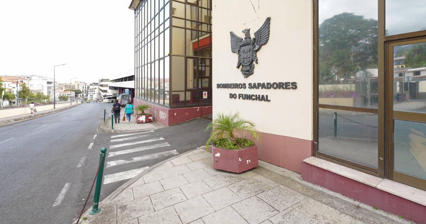 Gato ferido resgatado no Funchal