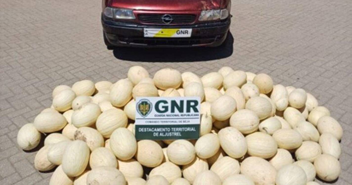 GNR apreende 1.000 quilos de melão e 60 de melancia roubados em Ferreira do Alentejo