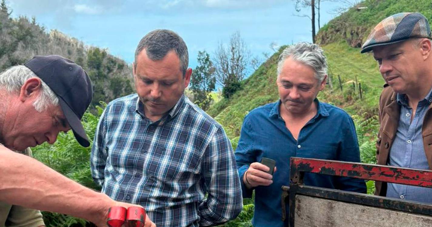 JPP diz que está na altura de debater o gado na serra de forma ordenada